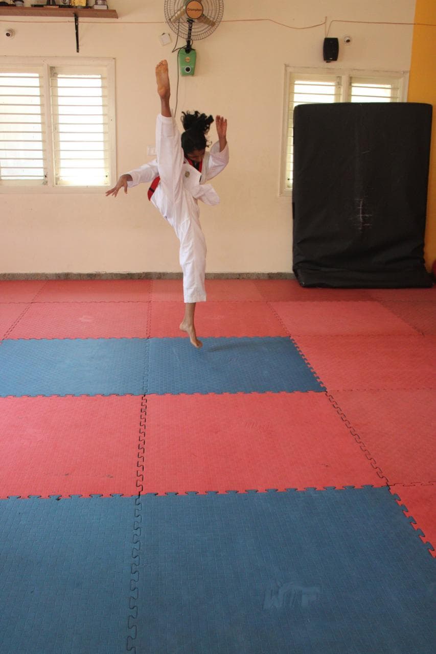 Deccan Taekwondo Academy Martial Artist