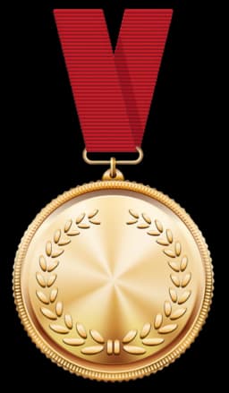 Medal Winning Academy Since 2008